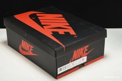 Jordan Chenille High OG 1 Newstalgia 0902